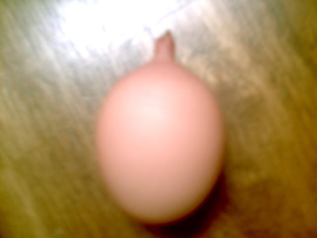 35851_chickenstuff2_004.jpg