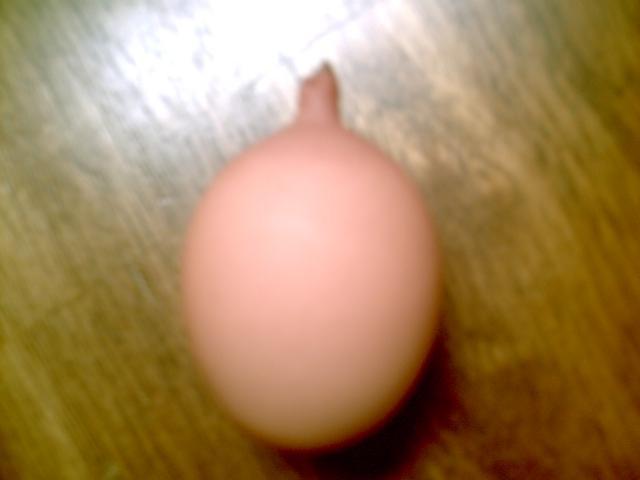 35851_chickenstuff2_005.jpg