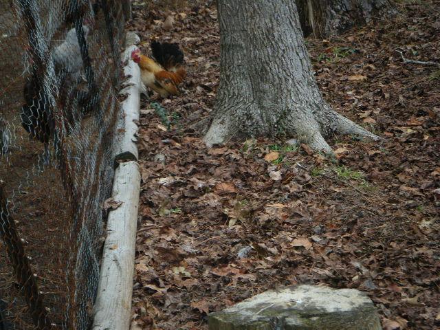 35851_dscf4737.jpg
