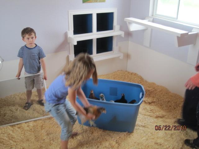 35943_243.jpg