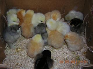 35990_dscn5656.jpg
