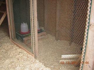 35990_dscn5765.jpg