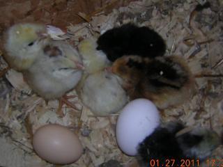 35990_rscn5476.jpg