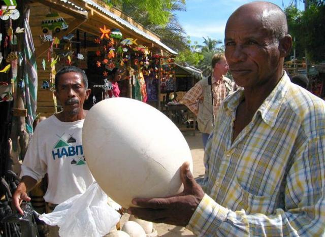 36026_elephant-bird-egg-market-madagascar.jpg