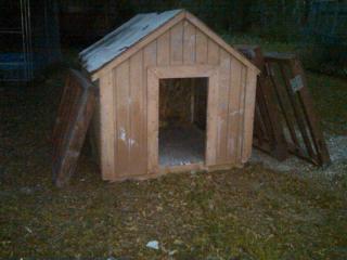 Craigslist: FREE HUGE DOG HOUSE 