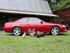 36095_11.gif