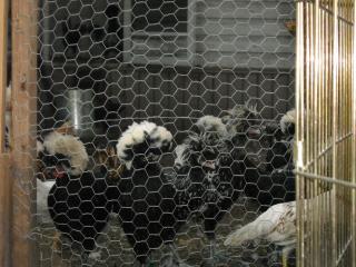 36202_030.jpg
