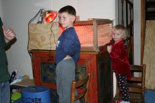 36211_img_3664.jpg