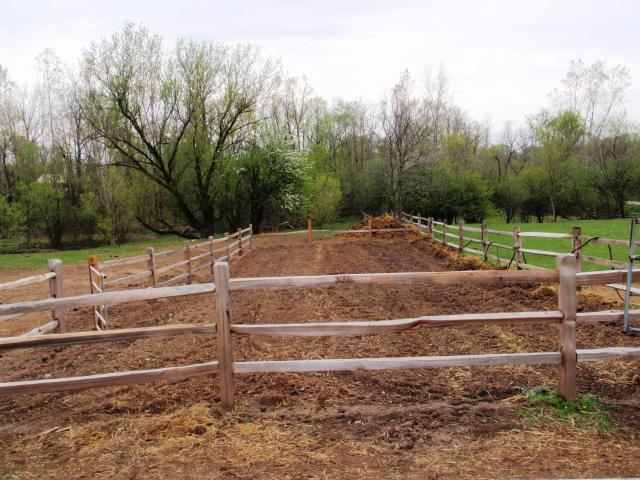 36285_p4240010.jpg