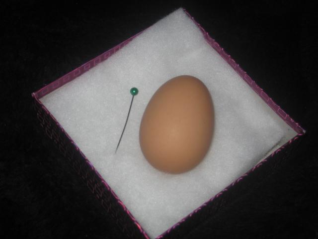 36357_img_4373.jpg