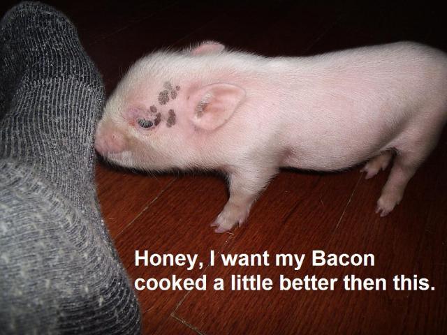 36435_nobacon.jpg