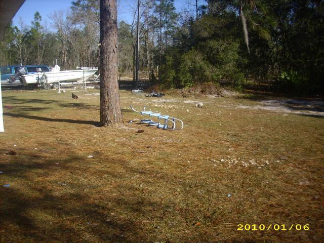 36729_chickens_-_rip_-_2010_017.jpg