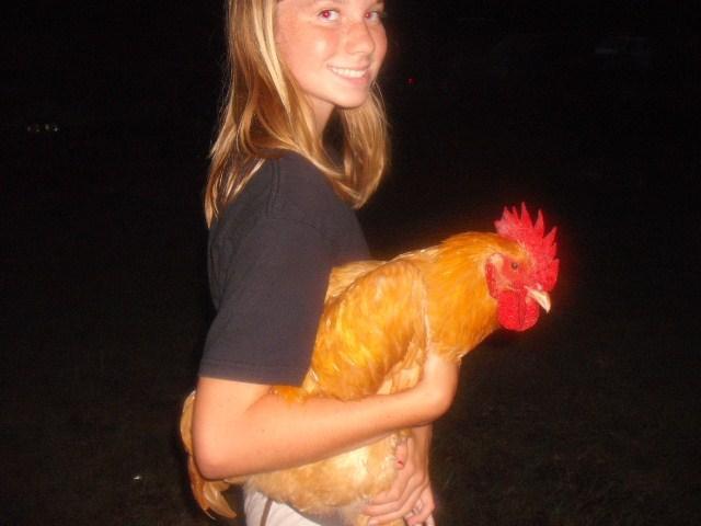 36729_chickens_052.jpg