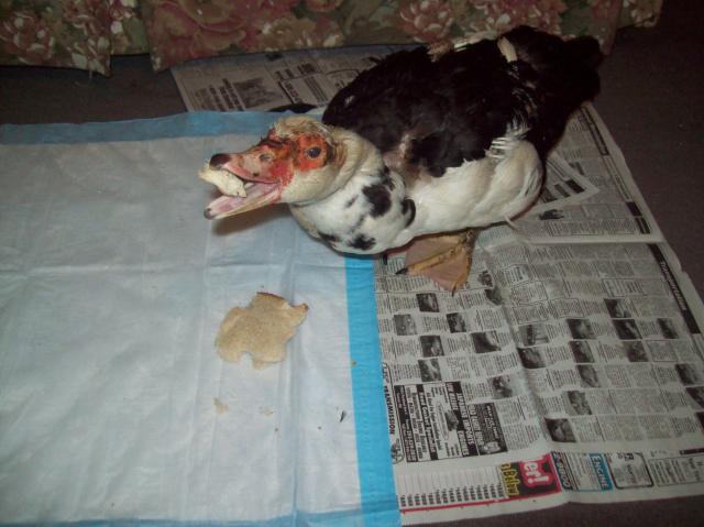 36754_100_5039.jpg