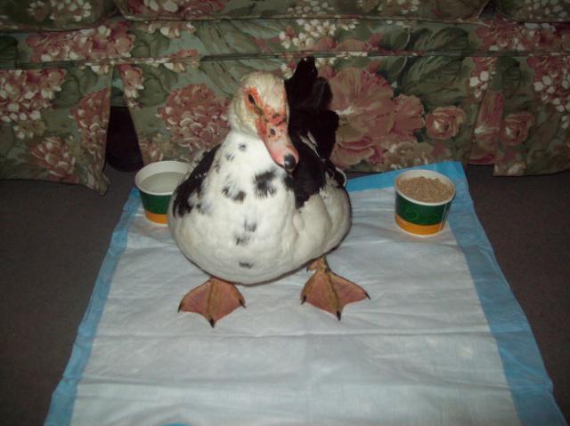 36754_100_5046.jpg