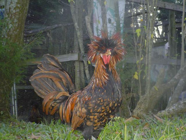 36766_pics_499.jpg
