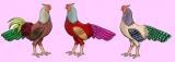 36934_inmemory.jpg