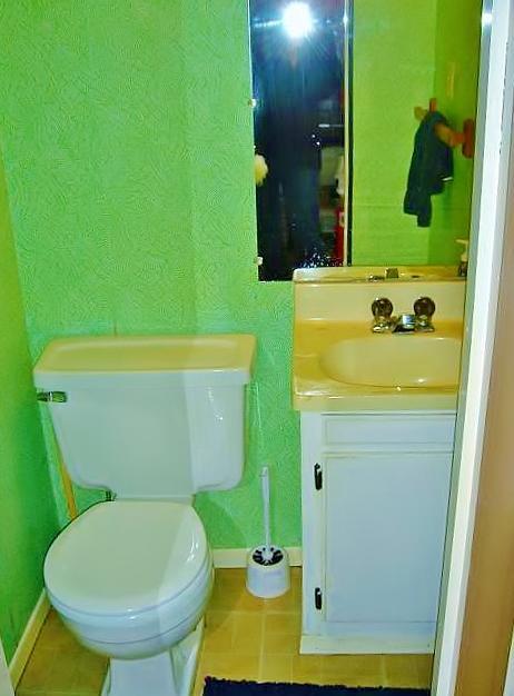 36979_green_bathroom.jpg