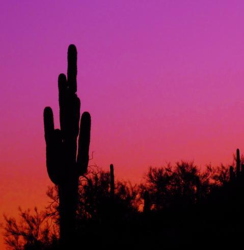 36979_img_4848.jpg