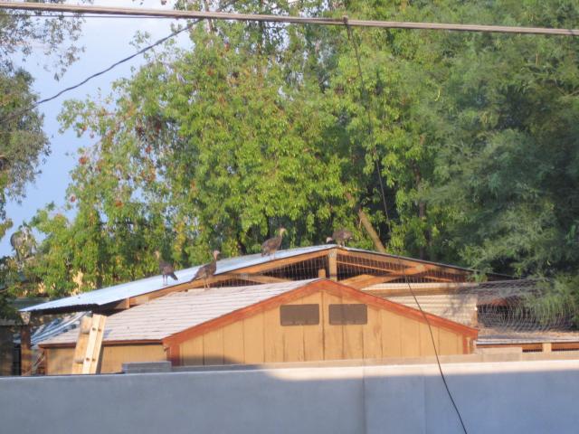 36979_img_8364.jpg
