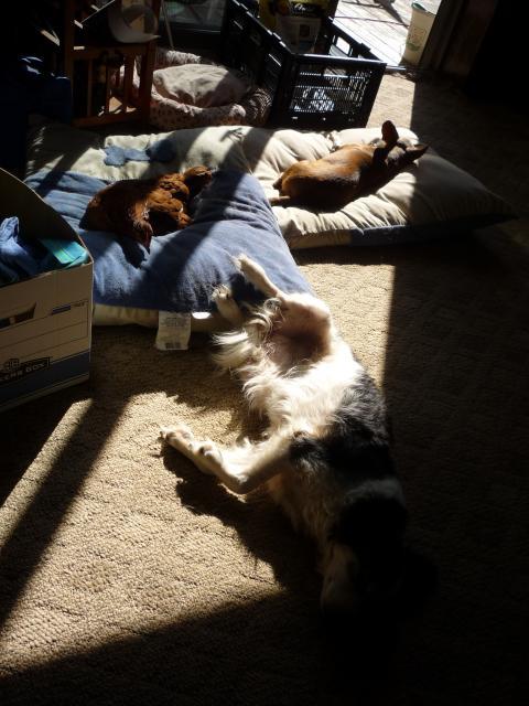 37010_naptimejuly2009_003.jpg