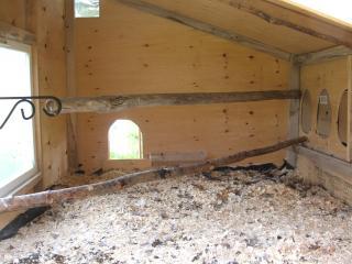 37043_new_perch.jpg