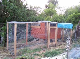 37053_chicken_run_5-2-10_002.jpg