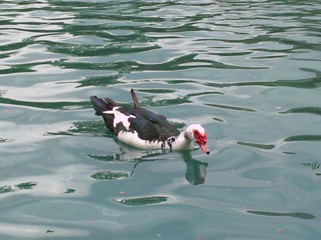 37097_photo0182.jpg