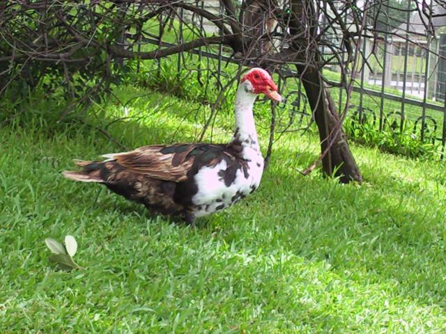 37097_photo0184.jpg