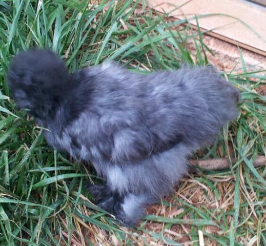 37218_2011-11-10_133113-1.jpg
