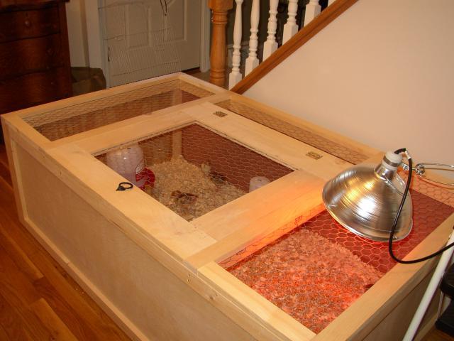 37262_brooder1.jpg