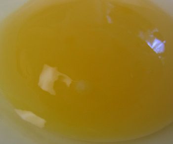 37308_egg3.jpg