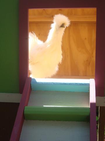 37350_mochi_home.jpg