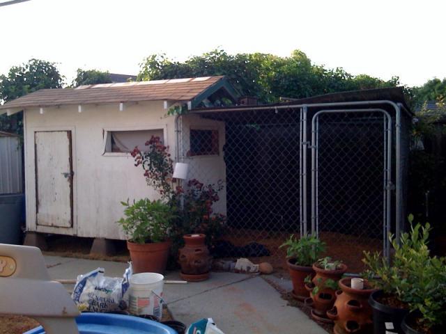 37354_chickencoop.jpg