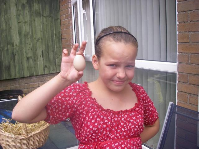 37400_chels_first_egg_mavis.jpg