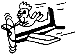 37401_evchickenfly.gif