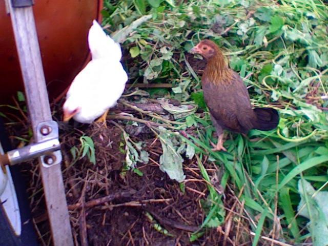 37405_photo_511.jpg