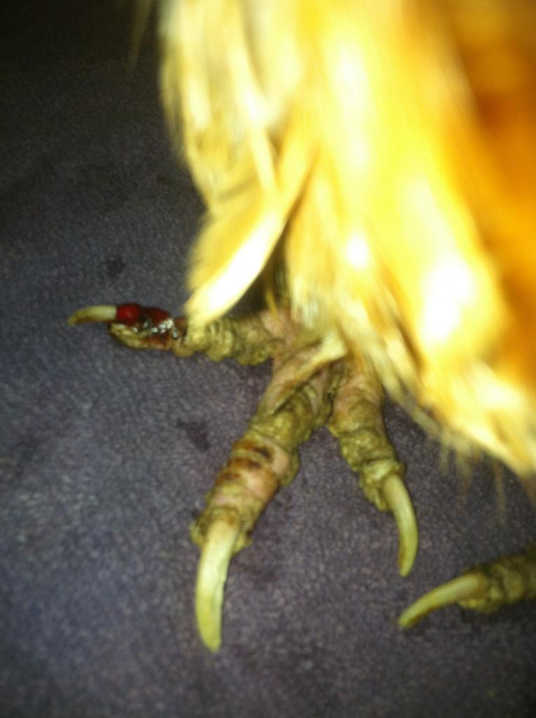37425_mites.jpg