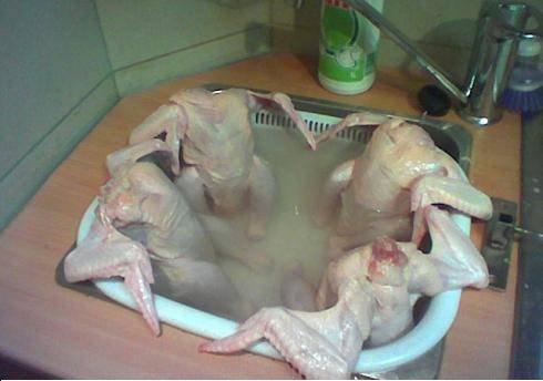 37500_chicken_jacuzzi-11965.jpg