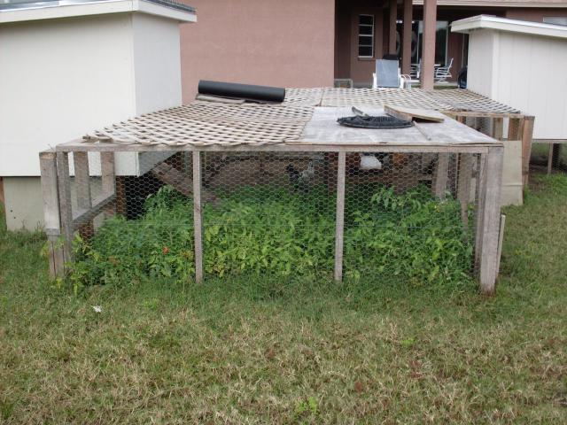 37500_sdc10093.jpg
