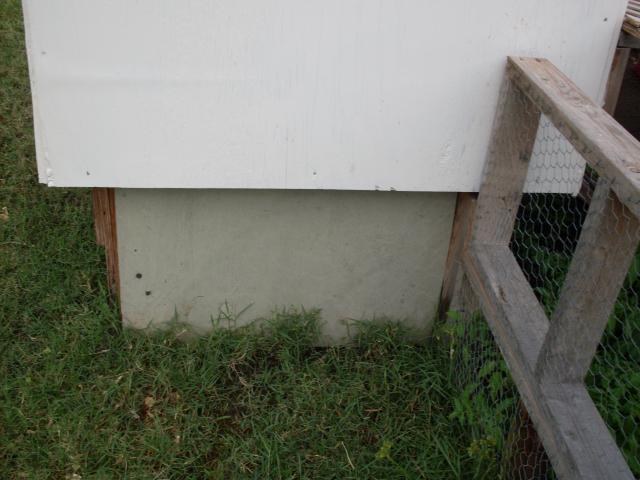 37500_sdc10095.jpg
