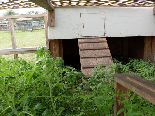 37500_sdc10097.jpg