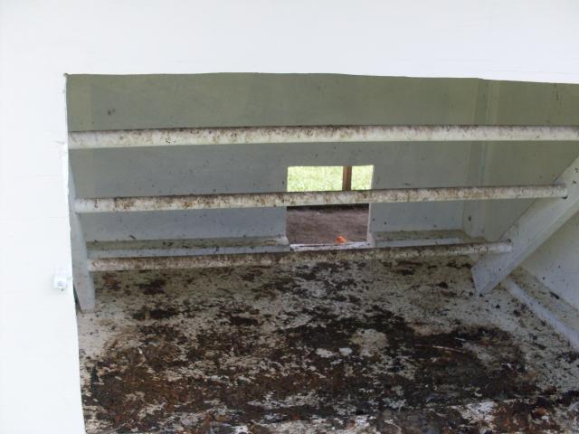 37500_sdc10238.jpg