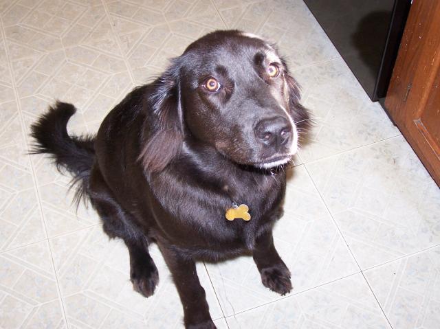 37573_100_4117.jpg