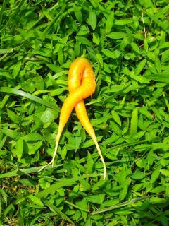 37653_dscf0012.jpg