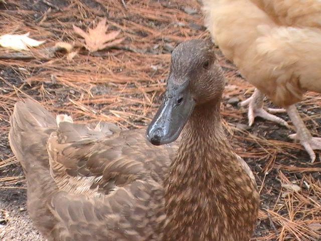 37655_imported_photos_00298.jpg