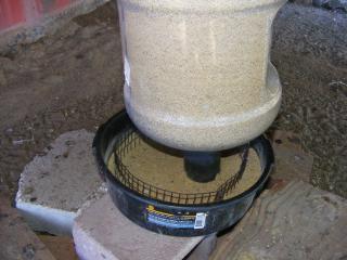 37689_chickx_feeders_010.jpg