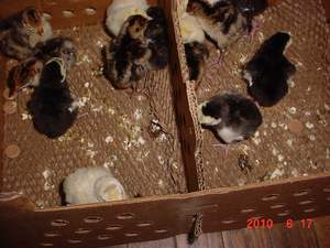37693_2010-6-14_034_a.jpg