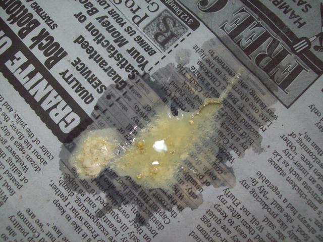 37777_100_0728.jpg