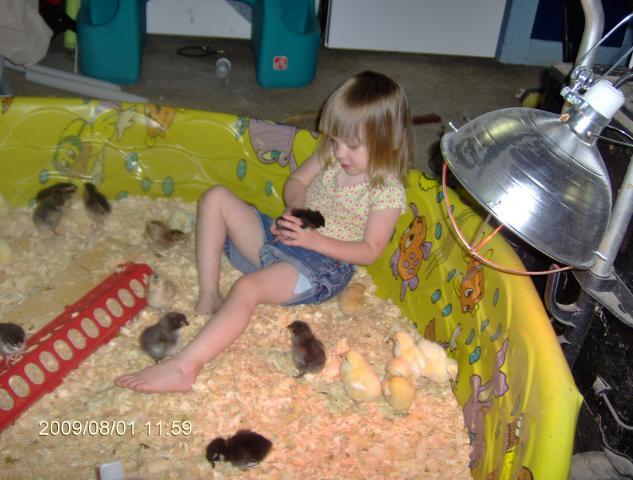 37795_meadows_3rd_bday_chickens190.jpg